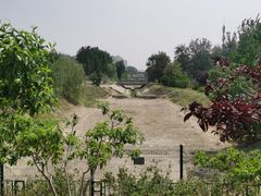 -大兴滨河森林公园