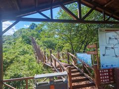 -大岭沟猕猴桃谷风景区