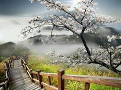-滇池小区