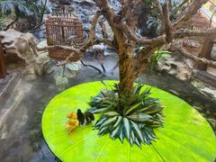 -唐猫庭院·千年陕菜(赛格国际购物中心店)