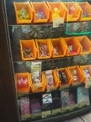 -卡通尼·Safari非洲探索乐园·生日会(金桥国际商业广场店)