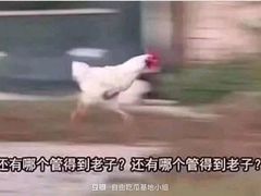 -杭州浪浪浪水公园