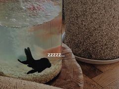 -COFFEEOLOGY咖啡学(天银店)