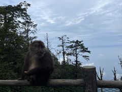 -峨眉山风景名胜区