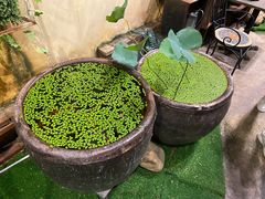 -胡桃里音乐酒馆(罗湖HALO广场店)