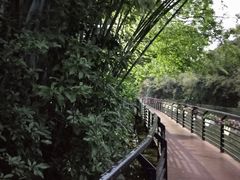 -月亮湾公园