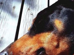 iphone_upload_pic-莫泰酒店(上海市北工业园区江场西路店)