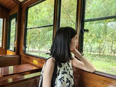 -合肥滨湖国家森林公园