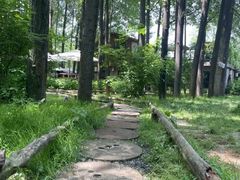 -林间山庄