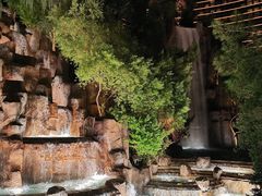 -拉斯维加斯永利酒店