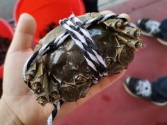 -无锡天鹏食品城