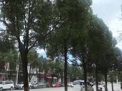 -收获咖啡HARVEST RESERVE(苍山店)