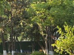 -常州古运河南大街文化旅游区-人民公园