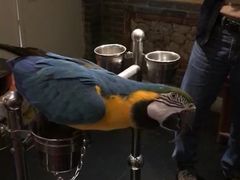 大堂-那家小馆•北京菜•烤鸭(中关村店)