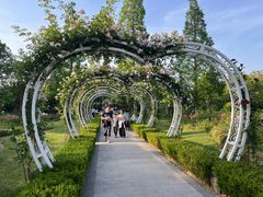 -昆山城市生态森林公园