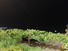 -渔家火锅·海鲜自助餐·演艺(亚龙湾天域酒店)