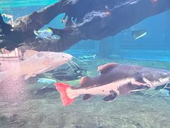 -华夏文旅海洋公园
