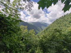 -凤凰山国家森林公园
