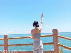 -广东惠东海龟国家级自然保护区