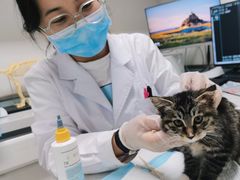 -达爱动物医院·犬猫分区·CT·复杂眼科(远洋山水分院)