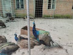 -大连金龙寺国家森林公园-售票处