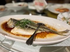 -金美华轩(东方路齐鲁店)