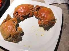 -沪小胖小龙虾(淮海中路旗舰店)