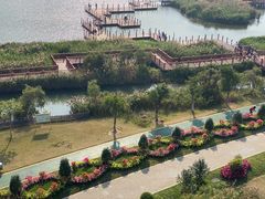-芒洲湿地公园