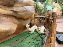 -杭州开元森泊度假乐园