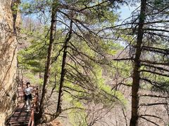 -王顺山国家森林公园
