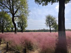 -汉长安城未央宫国家考古遗址公园