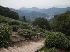 -西湖风景区十里琅珰-五云山