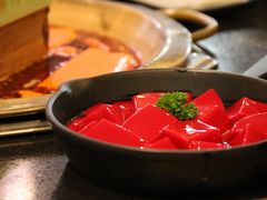 鲜鸭血-朝天门火锅(洪崖洞景观江景店)