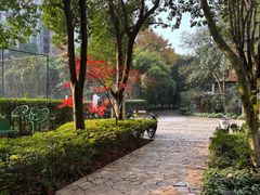 -西南政法大学(渝北校区)