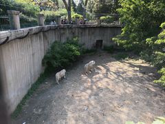 -保定市动物园