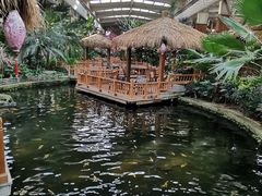 -南宫五洲植物乐园