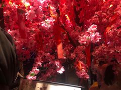 -鸡毛店·川菜(双楠店)