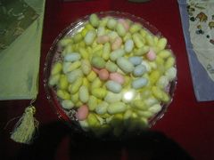 -上海昆虫博物馆