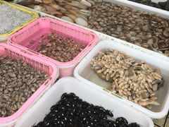 -南沙十九涌渔人码头-南门