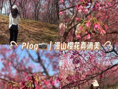 -牛岗山公园
