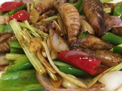 -老乡村美食农庄