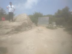 -王顺山国家森林公园