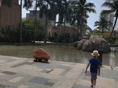 -亚马逊丛林水乐园