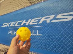 -Our Pickleball多多动匹克球俱乐部(世博源店)