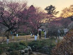 -杭州植物园