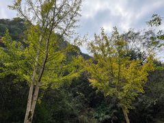 -水墨汀溪风景区