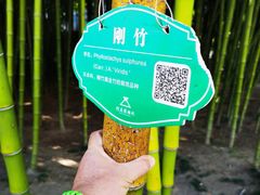 -河南博物院