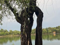 -承德避暑山庄景区