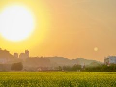 -光明小镇欢乐田园