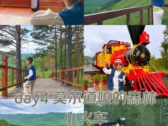 -莫尔道嘎国家森林公园